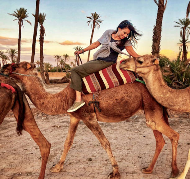Camel caravan at sunset