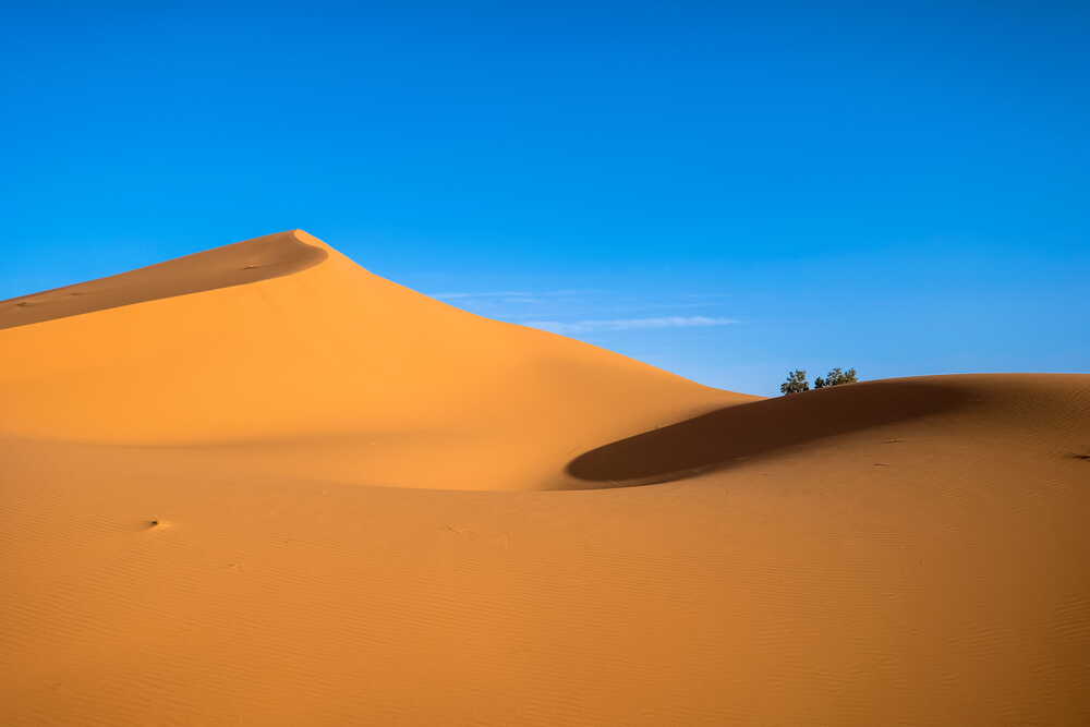 Sahara desert dunes at sunset in Morocco